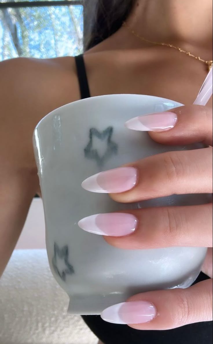 Classy Frenchies